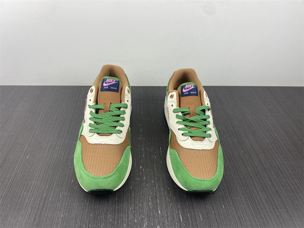 Nike Air Max 1 NH Treeline DR9773-300